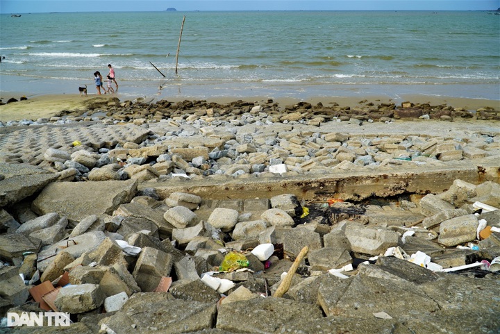 Sea dyke in Ha Tinh faces severe erosion - 2 Sea dyke in Ha Tinh faces severe erosion - 2