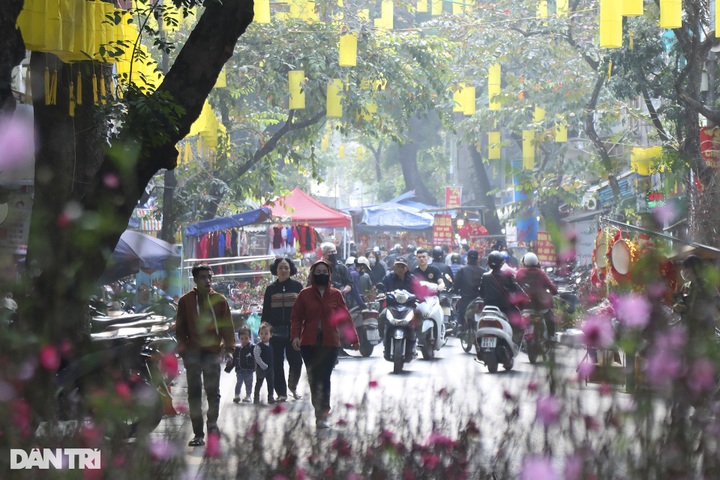 Hanoi flower market bustles as Tet nears - 1 Hanoi flower market bustles as Tet nears - 1