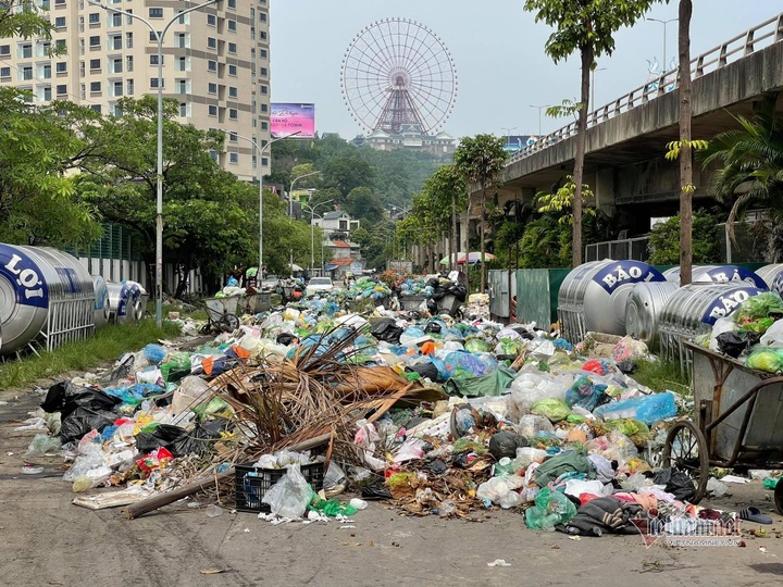 Ha Long City struggling with serious pollution - 2 Ha Long City struggling with serious pollution - 2