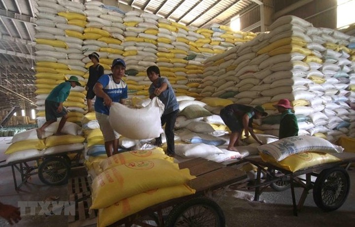 Vietnam to export 1,600 tonnes of rice at high price to Singapore, Malaysia - 1