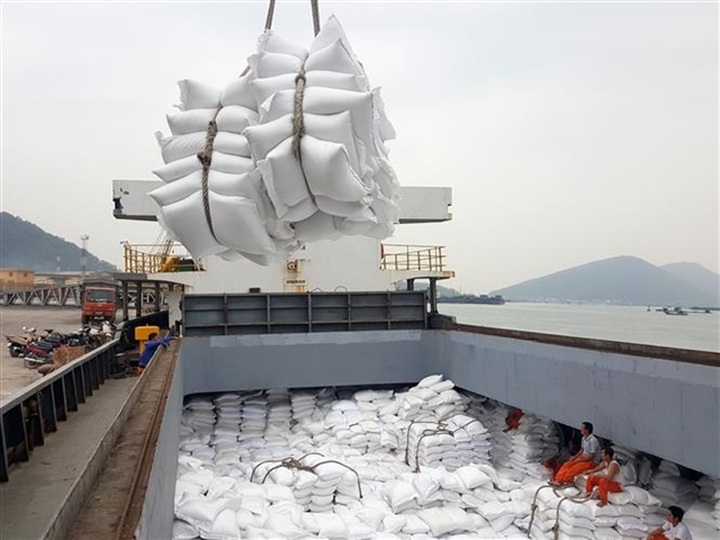 Vietnamese rice exporters expect higher prices as India slaps curbs to reduce global supply - 1