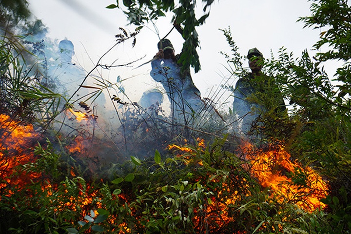 Forest fire ravages Danang - 2