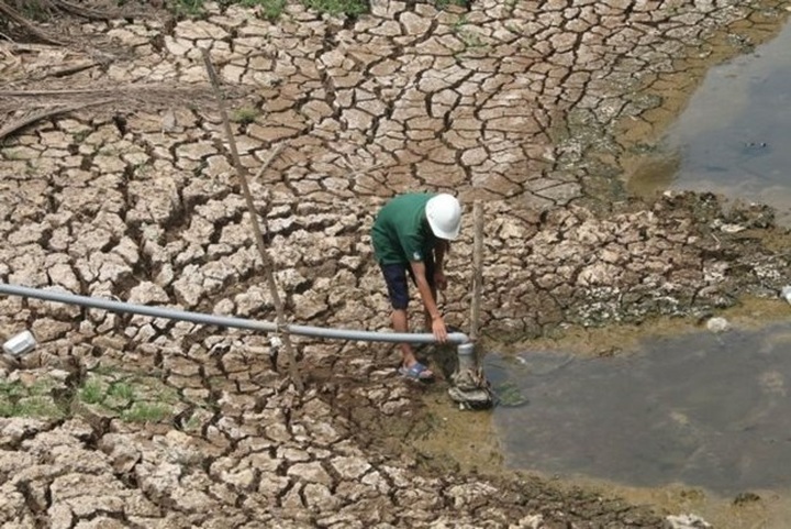 Mekong Delta takes measures against saltwater intrusion - 1