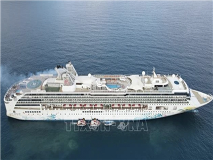 International cruise ship brings over 2,000 tourists to Vung Tau - 1
