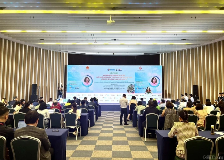 Vietnamese farm produce seeks to enter global distribution networks - 1