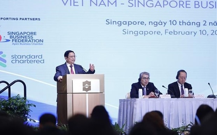 Prime Minister attends Vietnam – Singapore business forum - 1