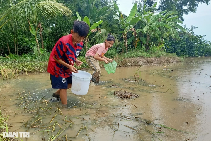 Bac Lieu abandoned siblings receive community support - 2 Bac Lieu abandoned siblings receive community support - 2