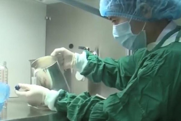 HCM City opens first human milk bank - 1