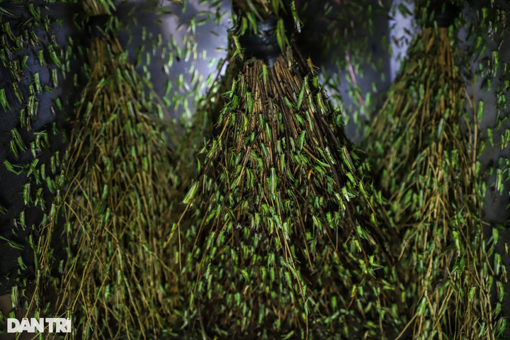 HCM City residents earn big from catching grasshoppers for sale - 7