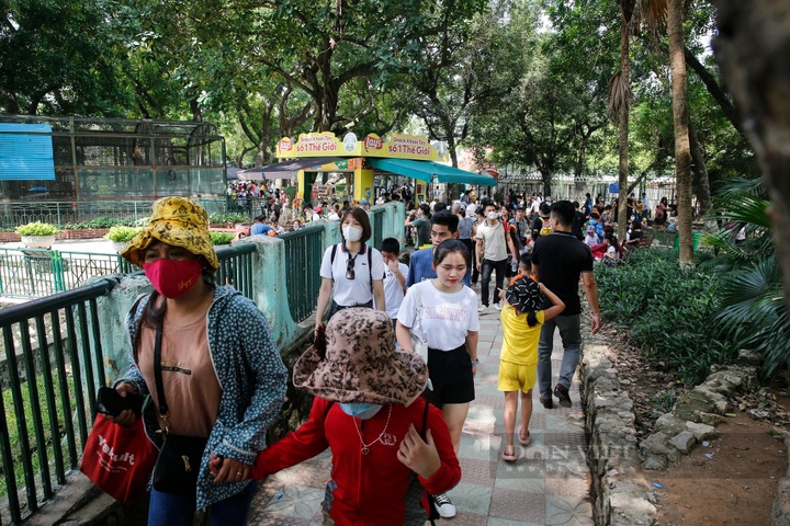 Hanoi, HCM City parks crowded on International Children’s Day - 6