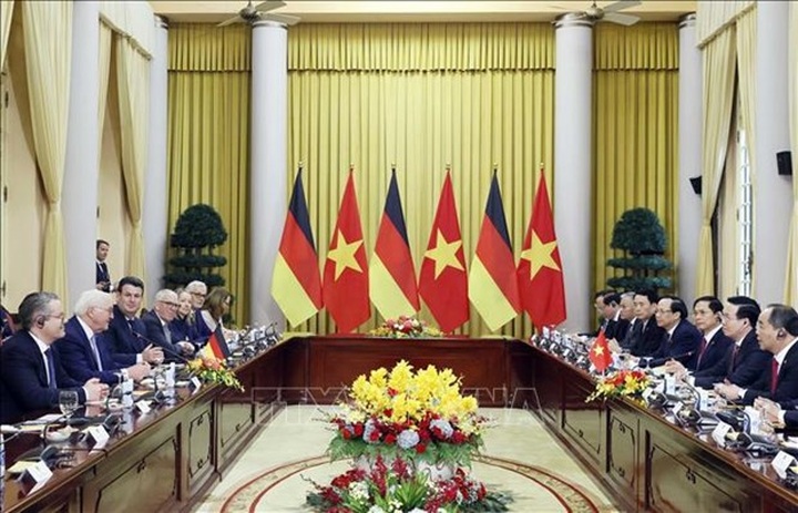 Vietnamese, German Presidents hold talks - 2