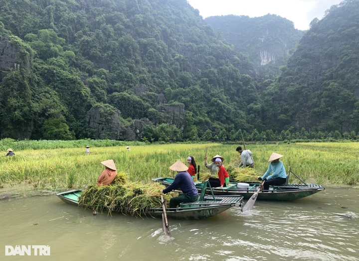 Famous Ninh Binh tourist site closed for maintenance - 6 Famous Ninh Binh tourist site closed for maintenance - 6