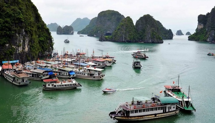Ha Long tourist boat suspended for using unlicensed staff - 1