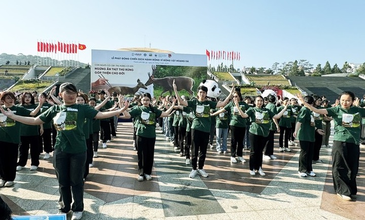 Lam Dong young people acts to protect wild animals - 1 Lam Dong young people acts to protect wild animals - 1
