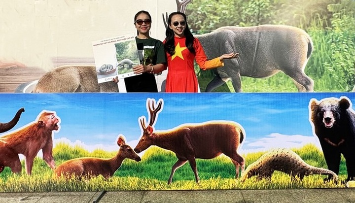 Lam Dong young people acts to protect wild animals - 4 Lam Dong young people acts to protect wild animals - 4