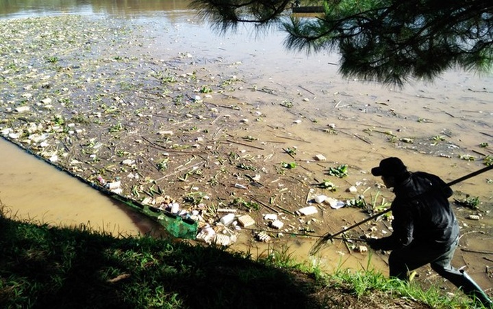 Da Lat’s iconic lake sees massive fish deaths - 4