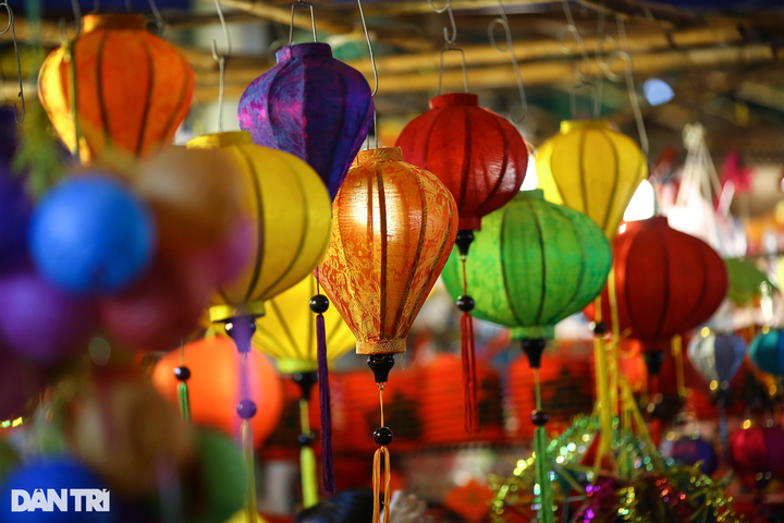 HCM City’s lantern street bustling before Mid-Autumn Festival - 5
