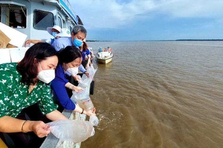 Nearly 10 million shrimp seeds released - 2 Nearly 10 million shrimp seeds released - 2