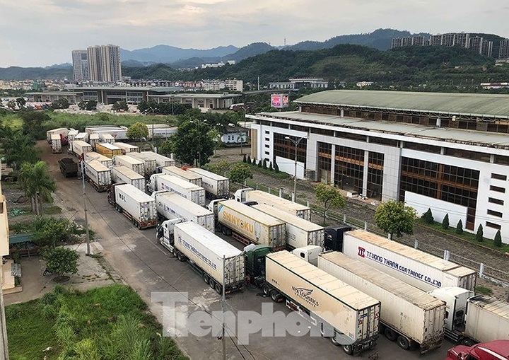 Over 500 trucks carrying dragon fruits stuck at Lao Cai border gate - 1