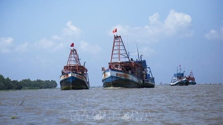 Vietnam’s border guards take tougher actions against IUU fishing - 1