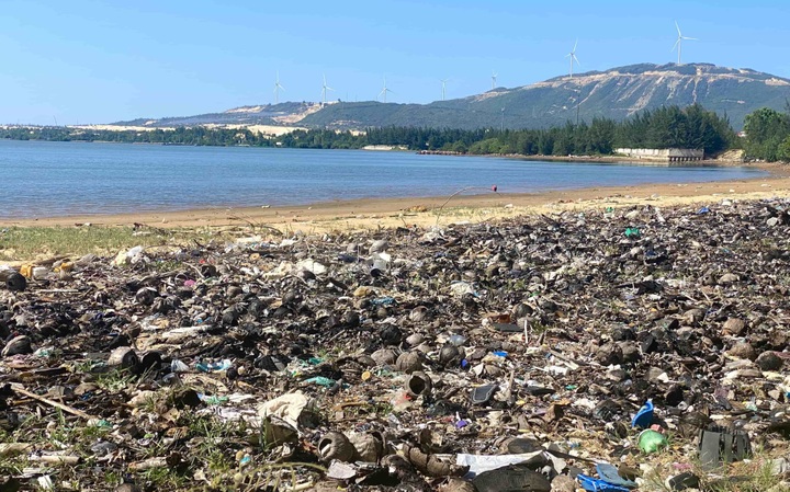 Binh Dinh lagoon faces serious pollution from littering - 6