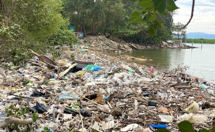 Binh Dinh lagoon faces serious pollution from littering - 1