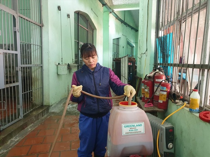 Zoo workers prepare for Tet - 2