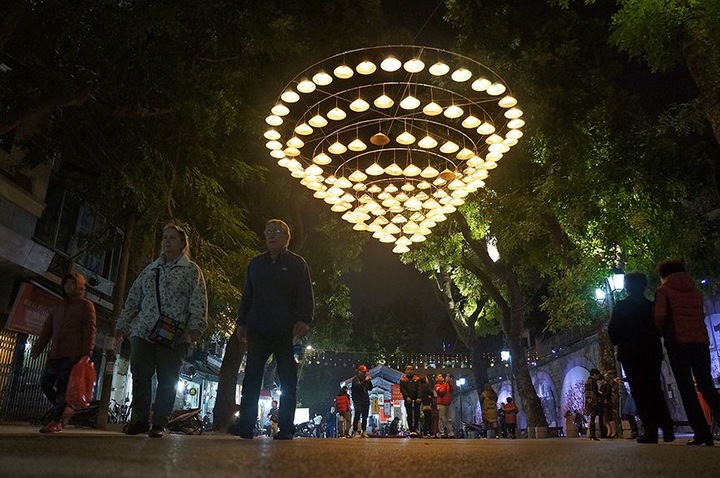 Hanoi flower market opened for Tet - 3