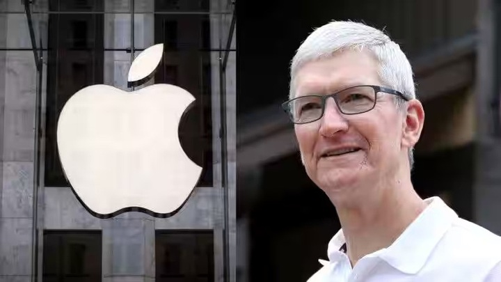Apple CEO Tim Cook arrives in Vietnam - 1