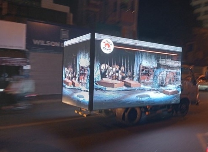 Trans Vietnam tour launched to protect dogs and cats - 1