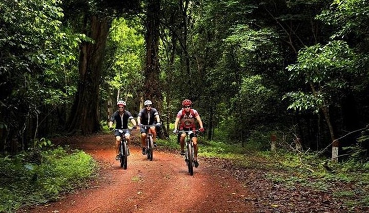 Vietnam serves 2.95 million international tourists in 11 months - 1