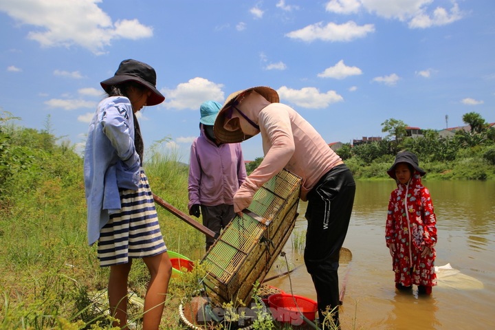 Clam season in Ha Tinh river - 8