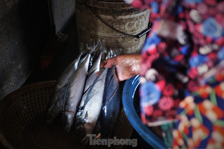 Ha Tinh fish grilling commune busy for Tet - 4