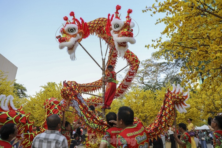 Tet calligraphy street opens in HCM City - 2