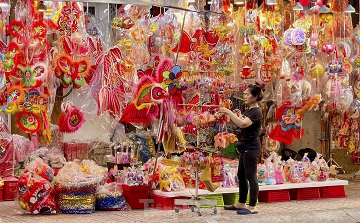 HCM City experiences early Mid-Autumn festival atmosphere - 10