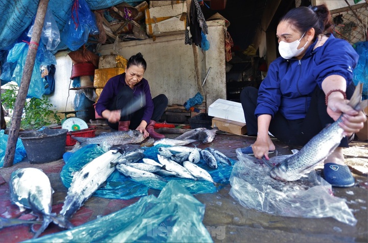Ha Tinh fish grilling commune busy for Tet - 3