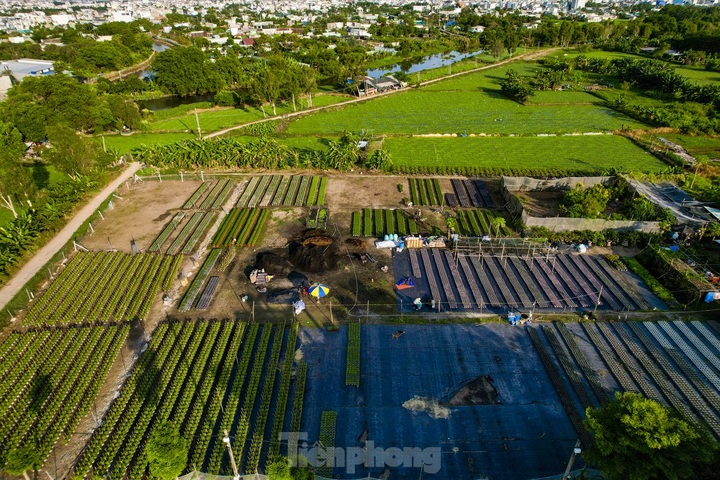 HCM City flower village gears up for Tet - 13 HCM City flower village gears up for Tet - 13