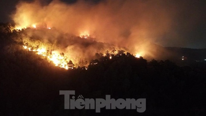Two consecutive forest fires occur in Ha Long - 2