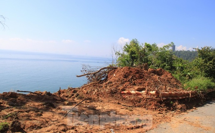 Danang still recovering from mid-October torrential rain - 3