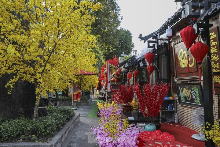 Tet calligraphy street opens in HCM City - 3