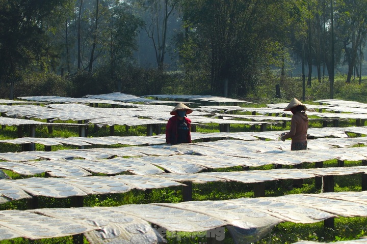 Nghe An rice cracker village busy ahead of Tet - 2