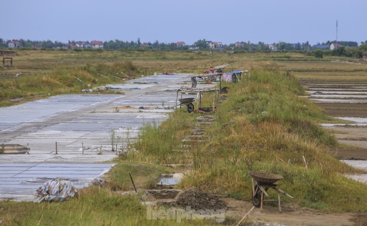 Ha Tinh farmers turn away from salt making - 4