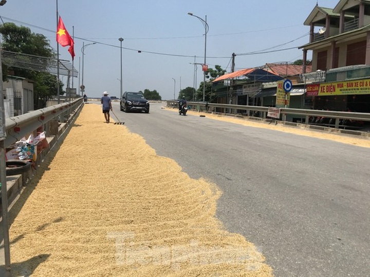 Roads encroached for drying rice - 5