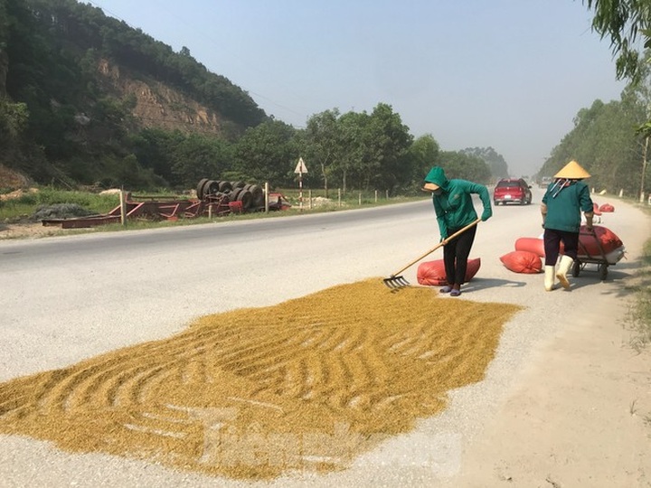 Roads encroached for drying rice - 2