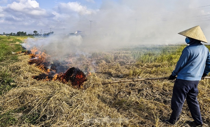 Straw burning plagues drivers on national highway - 6