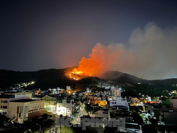 Two consecutive forest fires occur in Ha Long - 1