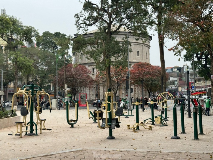 Hang Dau flower garden gets facelift - 8 Hang Dau flower garden gets facelift - 8