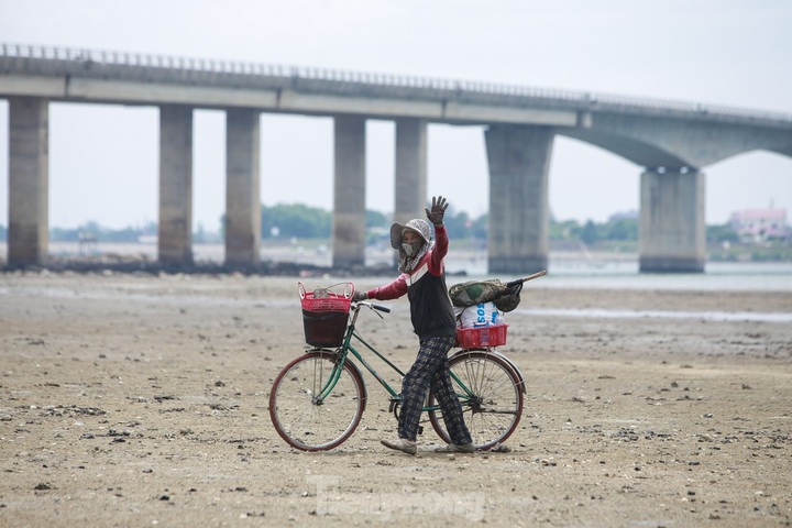 Oyster and clam hunting on central beaches - 8