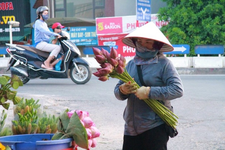 Lotus flower season arrives on Hanoi streets - 6 Lotus flower season arrives on Hanoi streets - 6