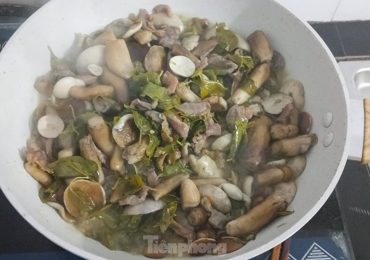 Wild mushrooms elevate Binh Dinh dishes - 8